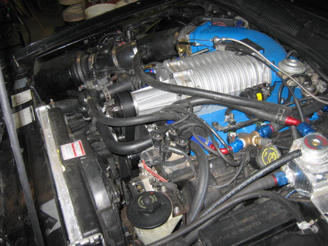 Engine bay with a silver supercharger, blue intake manifold, and black hoses. Radiator visible on the left