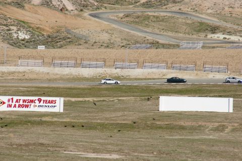1995 Ford Taurus - Cars on a race track with spectator seating and advertising banners visible.