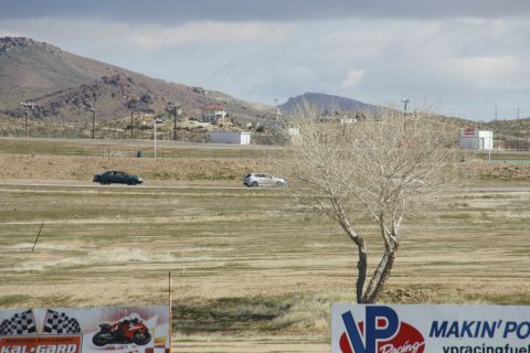 1995 Ford Taurus - A race track scene with two cars driving past a bare tree under a cloudy sky.