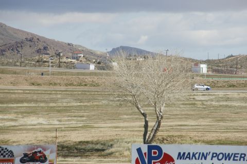 1995 Ford Taurus - A white sedan is seen driving on a race track, with a bare tree in the foreground and mountains in the background.