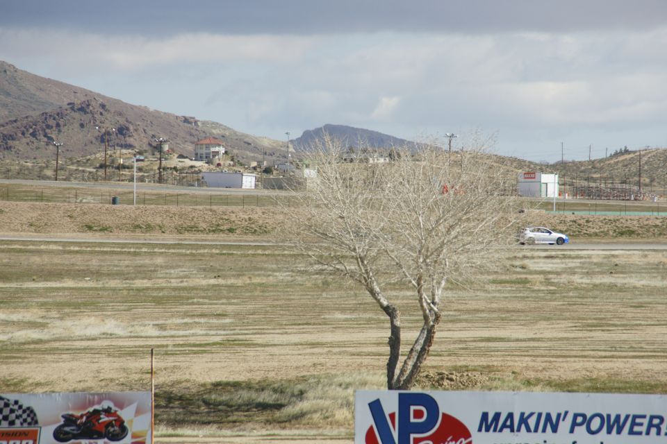 White sedan driving on a race track with a bare tree in the foreground