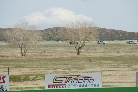1995 Ford Taurus - Several cars are driving on a race track, with sparse vegetation and hills in the background.