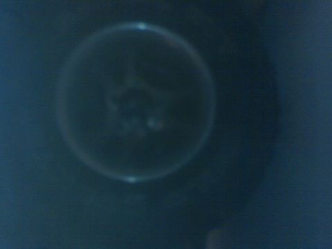 1996 Ford Bronco - This image shows a close-up of a vehicle headlight lens, not a 1996 Ford Bronco.