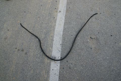 1995 Ford Taurus - A detached black rubber hose rests on a paved surface marked with a white line.