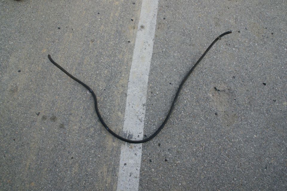 black rubber hose lying on asphalt with a white line