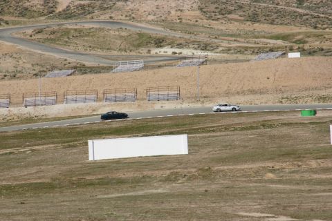 1995 Ford Taurus - Two cars are seen on a winding racetrack with grandstands in the background.