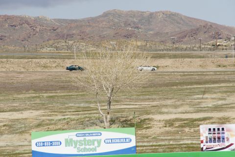 1995 Ford Taurus - A dark car and a white car are seen on a dirt track with a barren tree in the foreground.