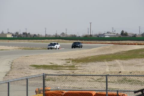 1995 Ford Taurus - Two sedans compete on a race track, with one white car a contrasting black hood.