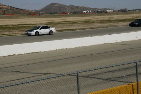 1995 Ford Taurus - A white sedan with a black hood drives on a race track, with another dark vehicle in the background.