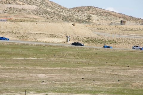 1995 Ford Taurus - Multiple vehicles on a race track with barren hills and some grass in the foreground.