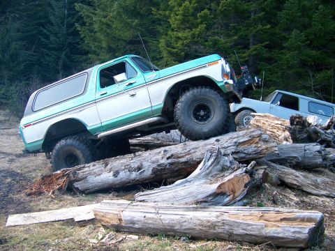 1979 Ford Bronco photo
