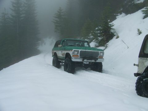 1979 Ford Bronco photo
