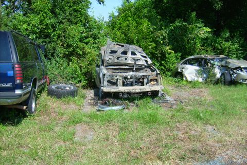 1981 Toyota Hilux - Three damaged vehicles sit in a grassy area with trees in the background.
