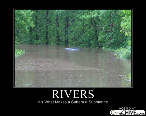 Car submerged in floodwater with trees in background