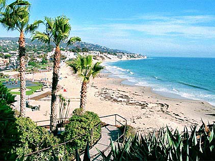 1993 Ford F-150 - A scenic view of a beach with palm trees and the ocean under a clear blue sky.