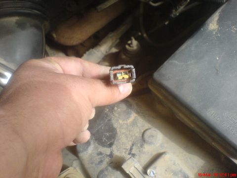 1998 Ford Crown Victoria - Close-up of a hand holding an electrical connector with visible gold pins, likely part of a vehicle's engine bay.