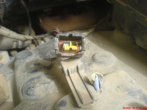 1998 Ford Crown Victoria - A close-up view of a dusty electrical connector, showing its internal yellow and red contacts.