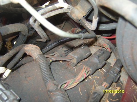 1989 Ford Bronco - Close-up view of a vehicle's engine wiring harness, showing connectors and some wear on the protective loom.