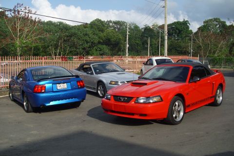 2002 Ford Mustang photo