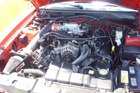 2002 Ford Mustang photo