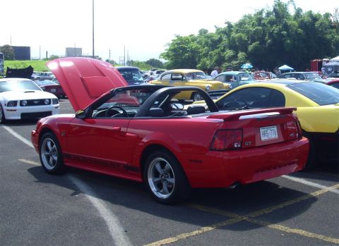 2002 Ford Mustang photo