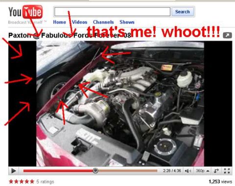 1999 Ford Crown Victoria - A YouTube screenshot displays a car's engine bay, marked with red arrows and overlaid with excited text.