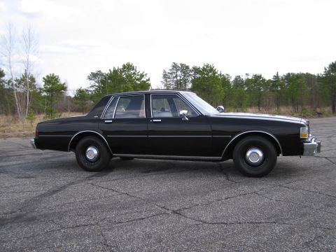 1991 Ford LTD Crown Victoria - This black sedan, likely from the 1980s, is shown from the side against a backdrop of trees and a cloudy sky.