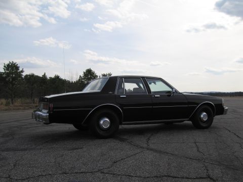 1991 Ford LTD Crown Victoria - Side view of a black sedan parked on a cracked asphalt surface with trees and sky in the background.