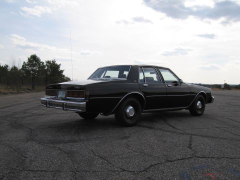 1991 Ford LTD Crown Victoria - This black sedan is parked on a cracked asphalt surface with trees and a cloudy sky visible.