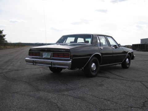 1991 Ford LTD Crown Victoria - This black Chevrolet Caprice sedan is viewed from the rear, showing its 1980s body style.