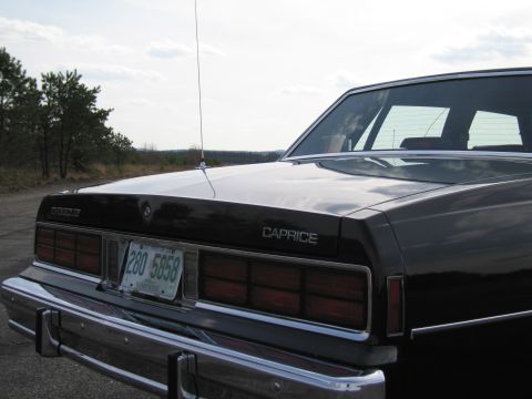 1991 Ford LTD Crown Victoria - This 1980s Chevrolet Caprice sedan is seen from the rear on a partly cloudy day.