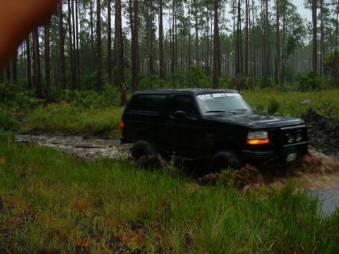 1995 Ford Bronco - A black Ford Bronco navigates a muddy path surrounded by tall pine trees.