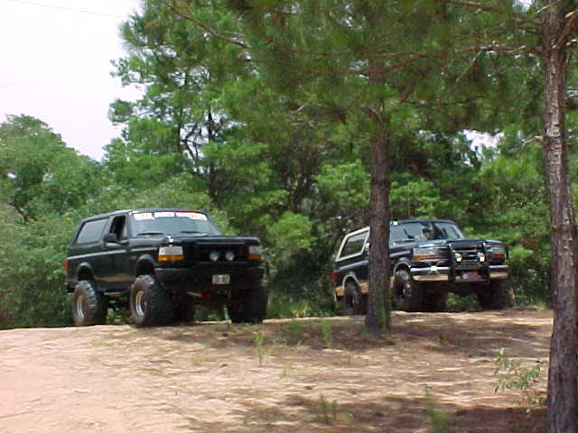 Two lifted dark Ford Bronco-style SUVs parked in a sandy pine forest clearing