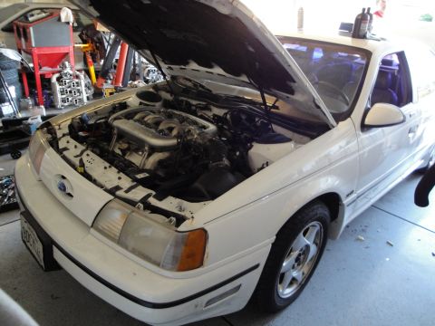 1989 Ford Taurus - The front end of a white 1989 Ford Taurus is visible with the hood raised, revealing the engine compartment.