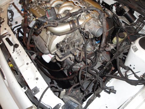 1989 Ford Taurus - The engine bay of a white vehicle, showing a V6 engine with numerous wires and hoses.