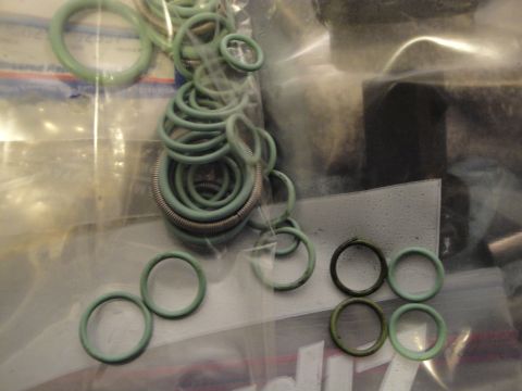 1989 Ford Taurus - A collection of various sized o-rings, some in plastic bags, are laid out for inspection.