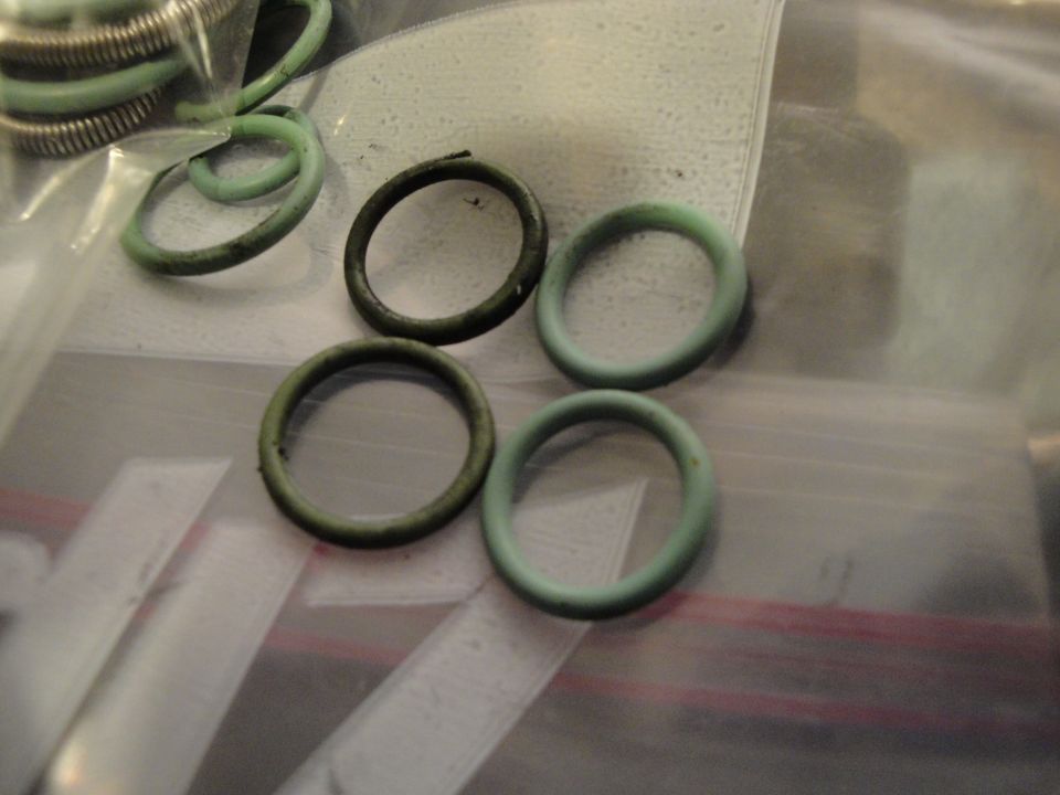 Several o-rings, some green and some dark, are scattered on a plastic surface