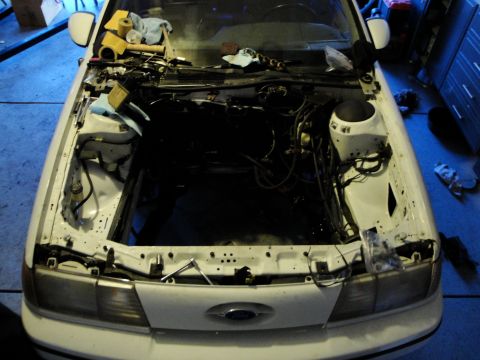 1989 Ford Taurus - The engine bay of a white car is exposed, with tools and parts laid out for an engine swap.