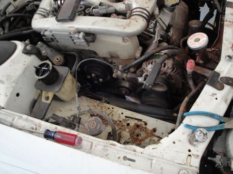1989 Ford Taurus - The engine bay shows various components, including the alternator and power steering reservoir, with visible signs of rust.