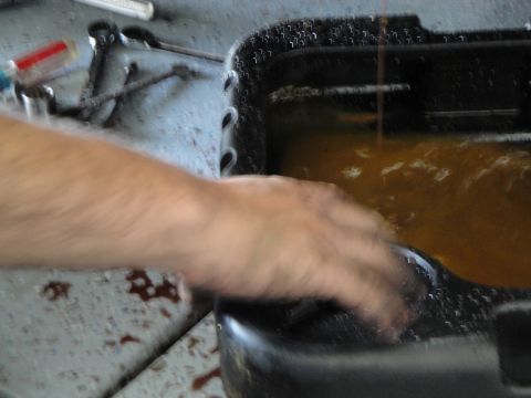 1989 Ford Taurus - A hand is submerged in a black oil drain pan containing murky, amber-colored liquid.