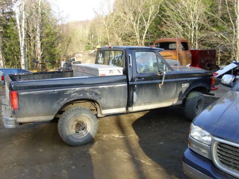 1995 Ford F-150 - A black Ford F-250 pickup truck is parked outdoors next to other vehicles and trees.