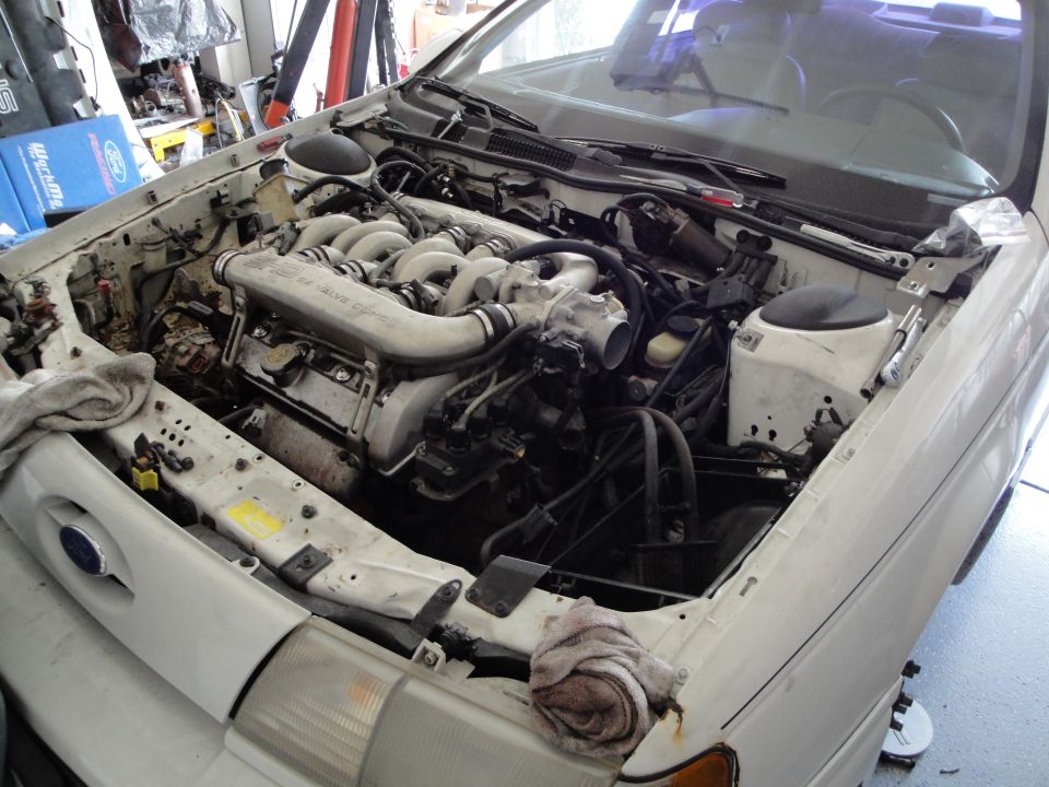 White 1989 Ford Taurus engine bay with a V6 engine and intake manifold. Rags are on the fender