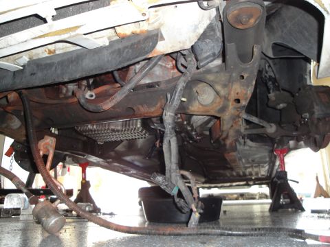 1989 Ford Taurus - The underside of a vehicle is visible, supported by jack stands, with engine components and wiring exposed.