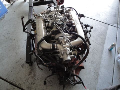 1989 Ford Taurus - A Ford engine, labeled 4 valve DOHC, is suspended by chains, likely for an engine swap.