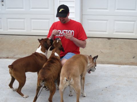 1992 Ford Mustang - A man gives treats to three boxer dogs outside a garage.