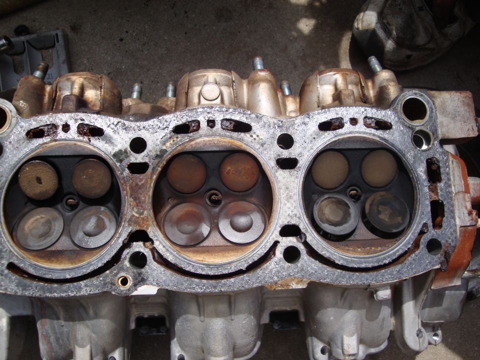 Engine cylinder head with valves visible in combustion chambers