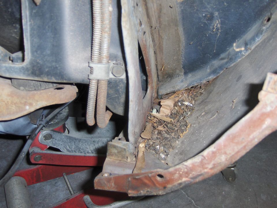 Close-up of rusty metal and debris under a car, with some hoses visible