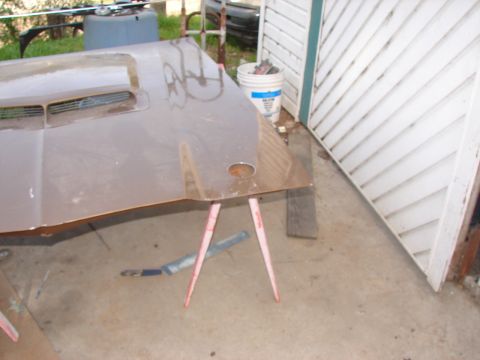 1973 Ford Ranchero - A brown hood, likely from a 1973 Ford Ranchero, rests on sawhorses outdoors.