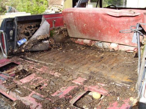 1978 Ford Bronco - After removing 3" moss on top of 4" mud, that was under about 1" of spruce needles.