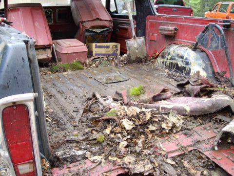 1978 Ford Bronco - blech...